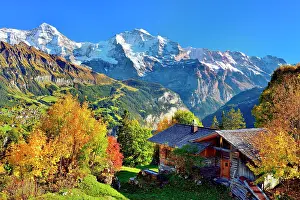 Bern: Alpine hut with autumn-coloured deciduous trees