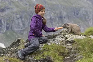 Marmot: Alpine Marmot - marmot is feeding by a girl -National