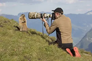 Marmot: Alpine Marmot - marmot and photographer - National