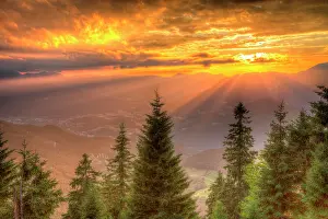 Berchtesgaden: Alpine panorama in the sunset, in front coniferous