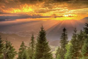 Upper: Alpine panorama in the sunset, in front coniferous