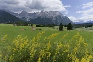 Tyrol: Alpine view from the Buckelwiwesen near Mittenwald to the Karwendel Mountains
