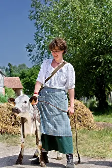 Clothe: Alsatian dressed as peasants and Veal France