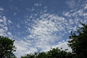 Altocumulus: Altocumulus clouds in blue sky