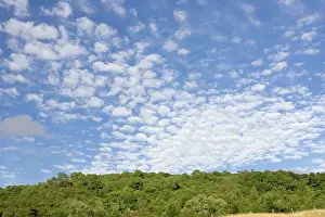 Altocumulus: Altocumulus clouds in deep blue sky above landscape