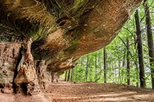 Scythian: Altschlossfelsen, Palatinate Forest, Rhineland Palatinate