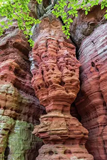 Scythian: Altschlossfelsen, Palatinate Forest, Eppenbrunn