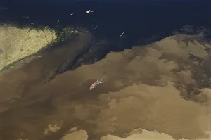 Confluence: Amazon River & Rio Negro