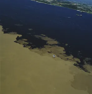 Confluence: Amazon River & Rio Negro
