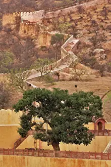 Citadel: Amber Fort, Jaipur, India