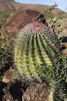Sierra: Amerique centrale, Mexique, Basse Californie