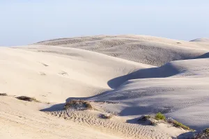 Basse: Amerique centrale, Mexique, Basse Californie