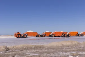 Trucks: Amerique centrale, Mexique, Basse Californie