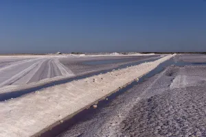 Trucks: Amerique centrale, Mexique, Basse Californie