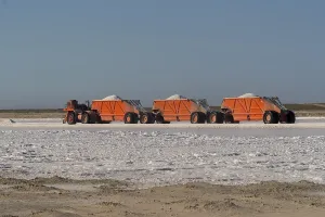Trucks: Amerique centrale, Mexique, Basse Californie