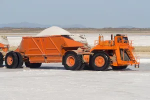 Trucks: Amerique centrale, Mexique, Basse Californie