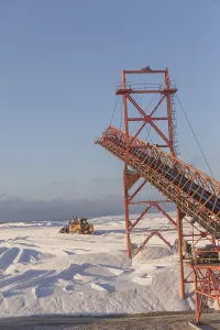 Trucks: Amerique centrale, Mexique, Basse Californie