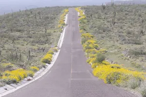 Sierra: Amerique centrale, Mexique, Basse Californie