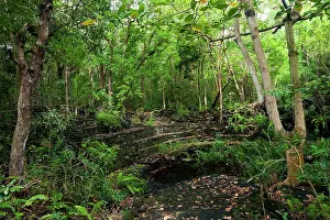 Amphitheatre: Amphitheatre-like structure built of black basalt