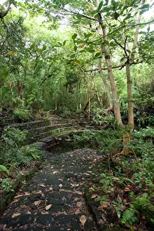 Amphitheatre: Amphitheatre-like structure built of black basalt