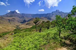 Amphitheatre: Amphitheatre, Royal Natal National Park, Drakensberg