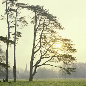 Paul Felix: Down Ampney