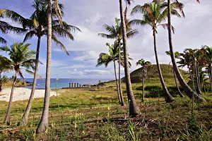Moais: Anakena beach with Moais on Ahu (ceremonial mound)