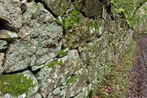 16th: Ancient granite wall enclosing Whiddon / Whyddon