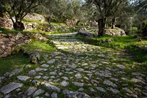 Olympus: Ancient paved stone path or Kalderimi - running