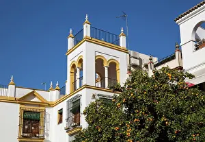 Seville: Andalusian style residence - and Bitter / Seville Oranges