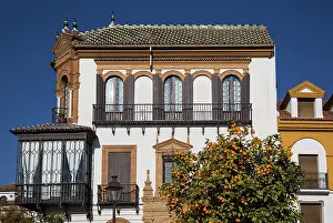 Seville: Andalusian style residence - and Bitter / Seville Oranges