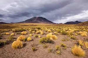 Puna: Andean Plain, Puna Grasland, Jarava ichu, Lascar
