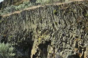 Columnar: Andesite Lava