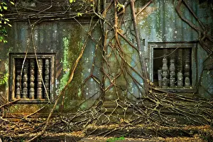Brian Mcdairmant: Angkor Beng Meala root covered wall