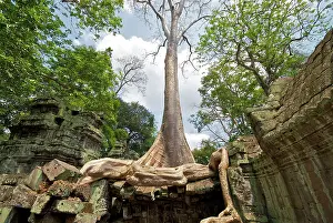 Brian Mcdairmant: Angkor Ta Prohm tree roots and Building