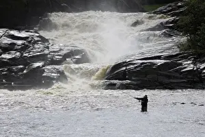 Angler: Angler fly fishing in river in front of waterfa