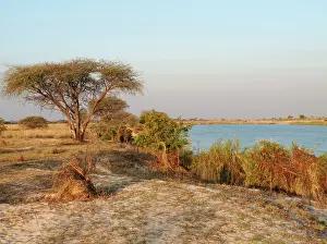 Angola: Angola - At the Angolan side of the Okavango River
