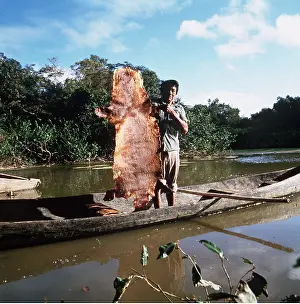 Canoes: Animal Exploitation