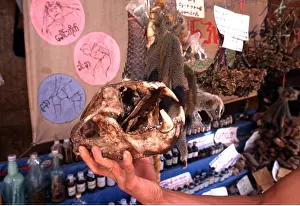 Sale: Animal Exploitation - animal parts for sale incl