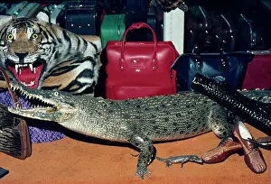 Shops: Animal Exploitation - Crocodile skin goods on sale