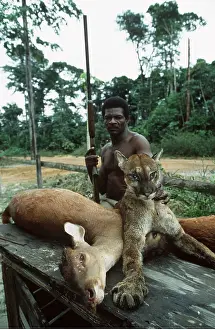 Hunter: ANIMAL EXPLOITATION - hunter with dead Cougar and Deer