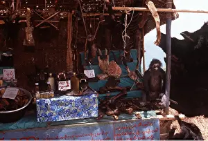 Sale: Animal Exploitation - Parts for sale, including cat skulls