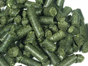 Pellets: Animal Feed
