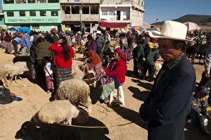 Selling: Animal market at San Francisco El Alto Guatemala