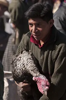 Selling: Animal market at San Francisco El Alto Guatemala