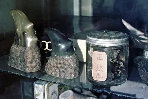 Materials: Animal materials on sale in Singapore as items of