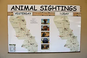 Boards: Animal Sightings board - showing big 5 at restcamp
