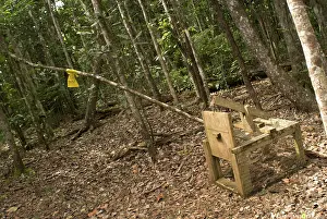 Foundation: Animal trap, Mauritius