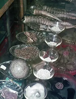 Materials: Animals materials on sale in Singapore as items