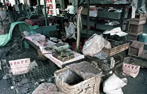 Materials: Animals materials on sale wet market in Singapore